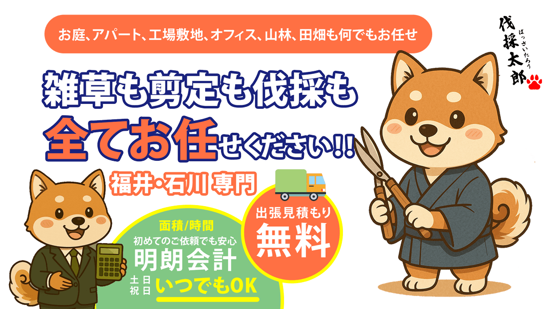 福井の雑草も剪定も伐採も全てお任せください! 福井の雑草も剪定も伐採も全てお任せください!