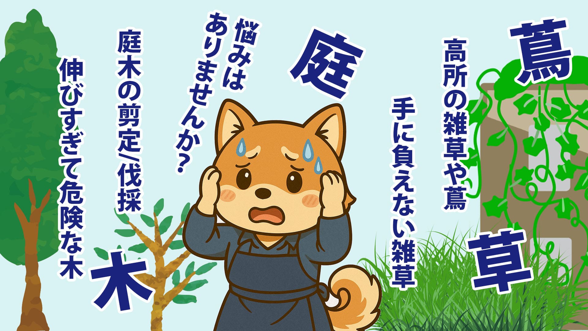 高所の雑草や蔦、手に追えない雑草お悩みはありませんか? 高所の雑草や蔦、手に追えない雑草お悩みはありませんか?