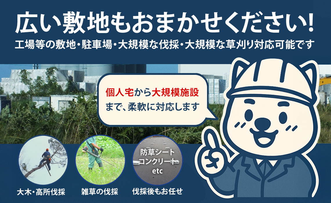 広い敷地の伐採もお任せください! 広い敷地の伐採もお任せください!