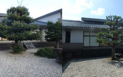 【施工事例】庭木剪定で和庭が整う美しい空間へ