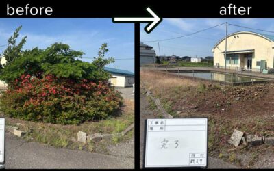 【施工事例 処分込 25,000円 坂井市丸岡町】長年放置されたドウダンツツジと雑木の伐採｜伐採太郎