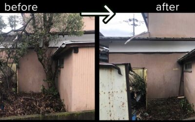 【施工事例 処分込 40,000円 福井市】建物ギリギリのクスノキを安全伐採｜伐採太郎